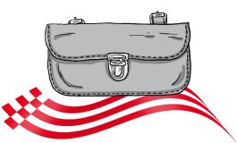 Satteltaschen