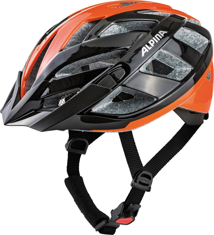 Alpina Helme
