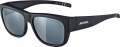 ALPINA Sonnenbrille Overview II P