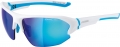 ALPINA Sonnenbrille Lyron HR