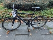Panther Urban Bike 28 Zoll Herrenradrahmen sofort verfügbar