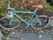 Excelsior 28 Zoll Herrenrad 2 Gang sofort lieferbar