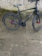 Trekking Bike 28 Zoll für Herren 14 Gang Rohloff Nabenschaltung