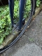 Bremer Rad 28 Zoll Pedelec Modell PE 550 sofort lieferbar